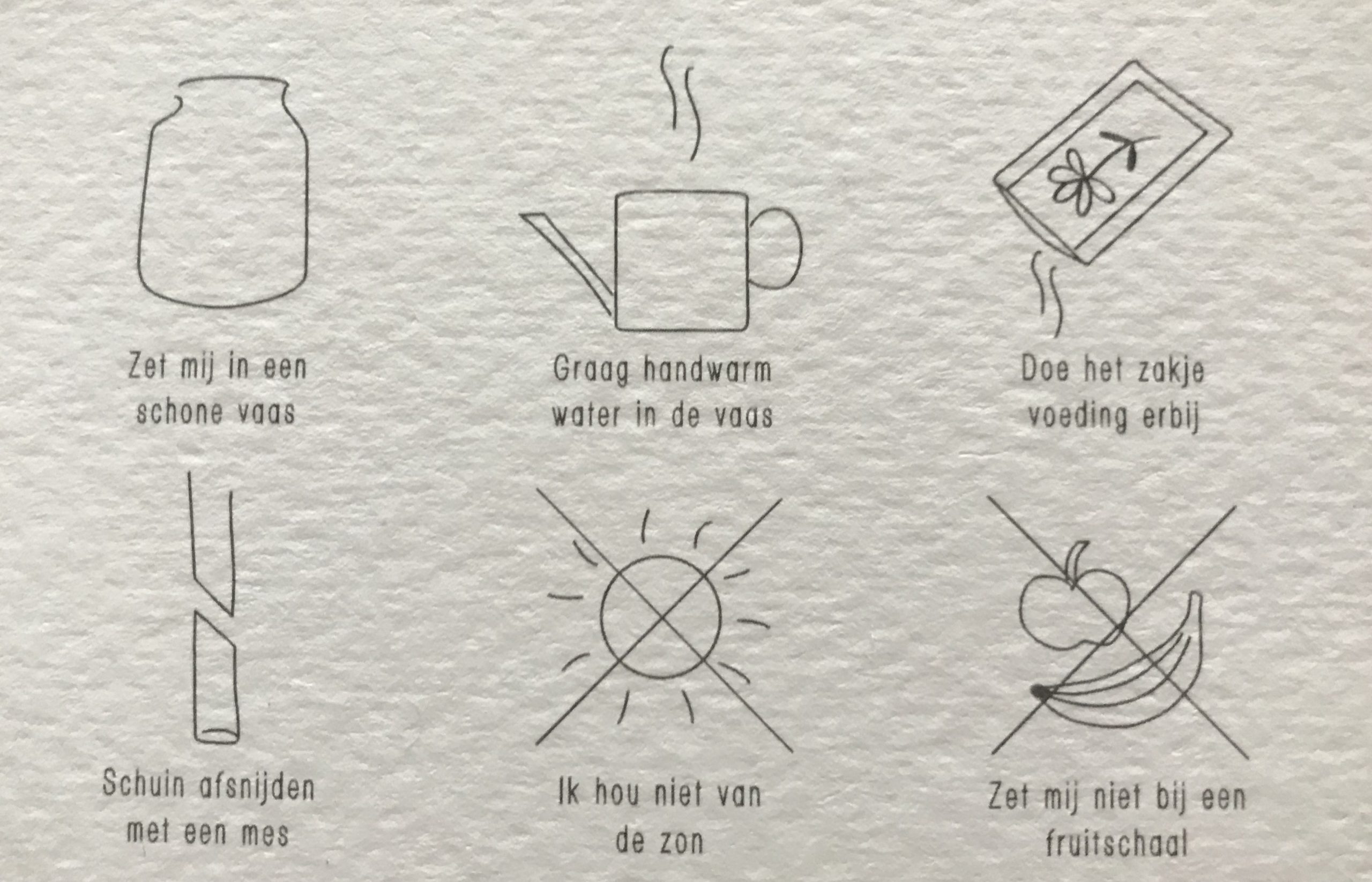 verzorgingstips