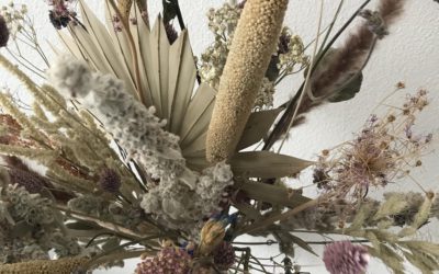 Droogbloemen